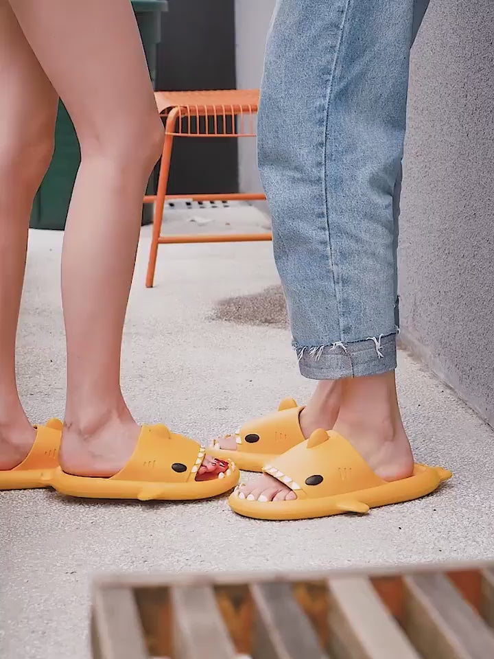 Load video: Adult&#39;s Slippers Indoor Outdoor Funny Shark Cartoon